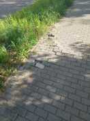 Foto: defekte Stelle im Gehweg 